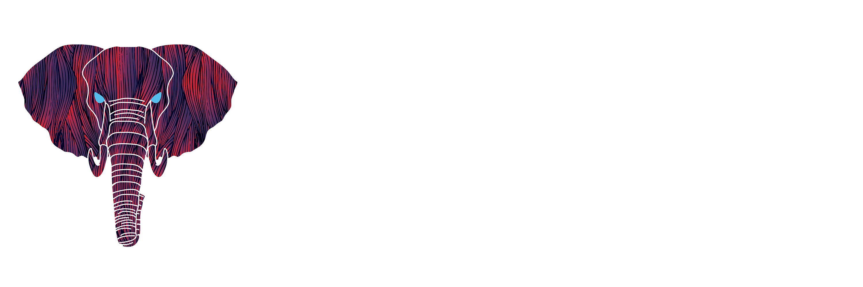 Digital Media Bros